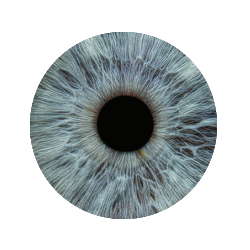 Eye Iris Photo