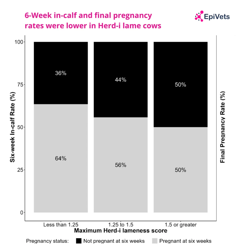 Investigating the Association Between Herd-i Lameness Scores and Reproductive Outcomes on a Single Dairy Farm