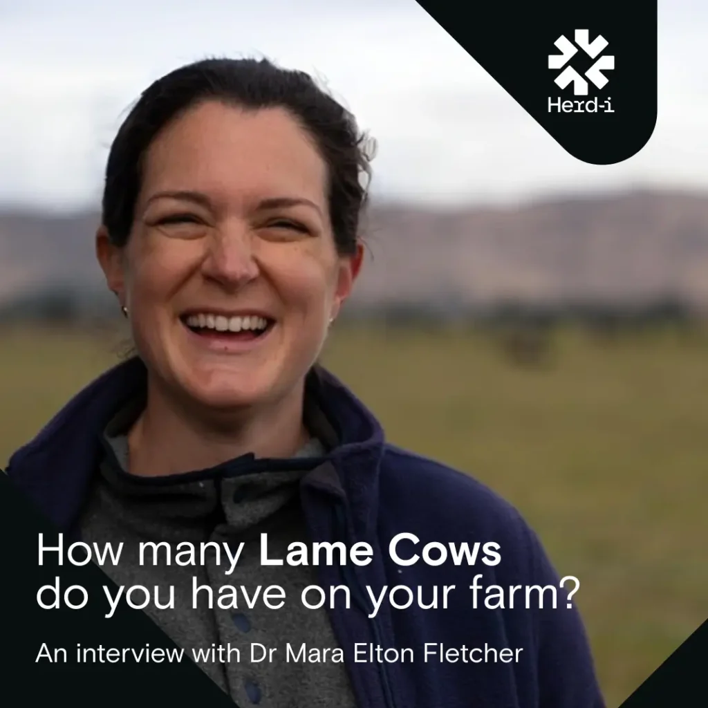 How Many Lame Cows Do You Have on Your Farm?