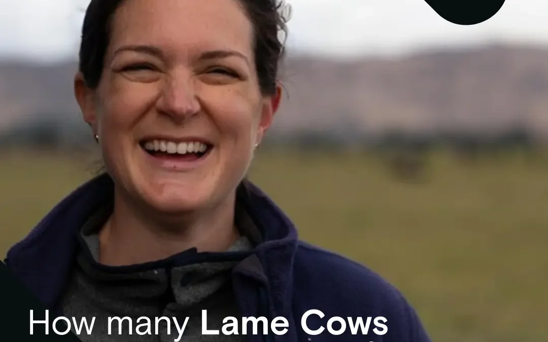 How Many Lame Cows Do You Have on Your Farm?