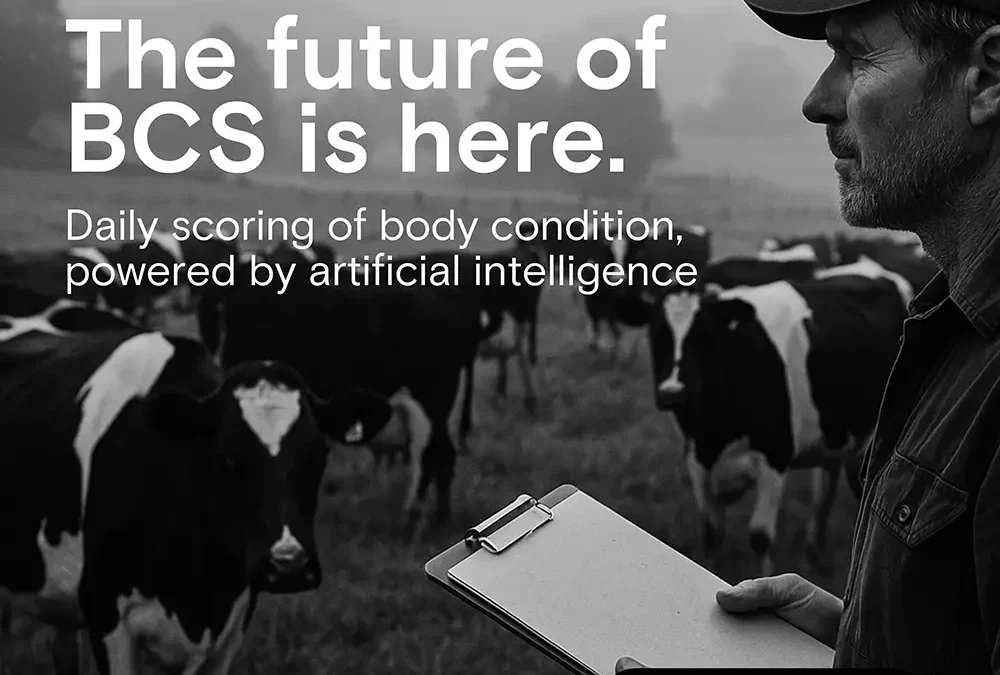 Herd-i Rolls Out Game-Changing, AI-Powered Body Condition Scoring to First Farmers