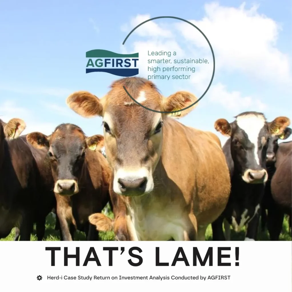 That’s Lame! – Return on Investment Analysis