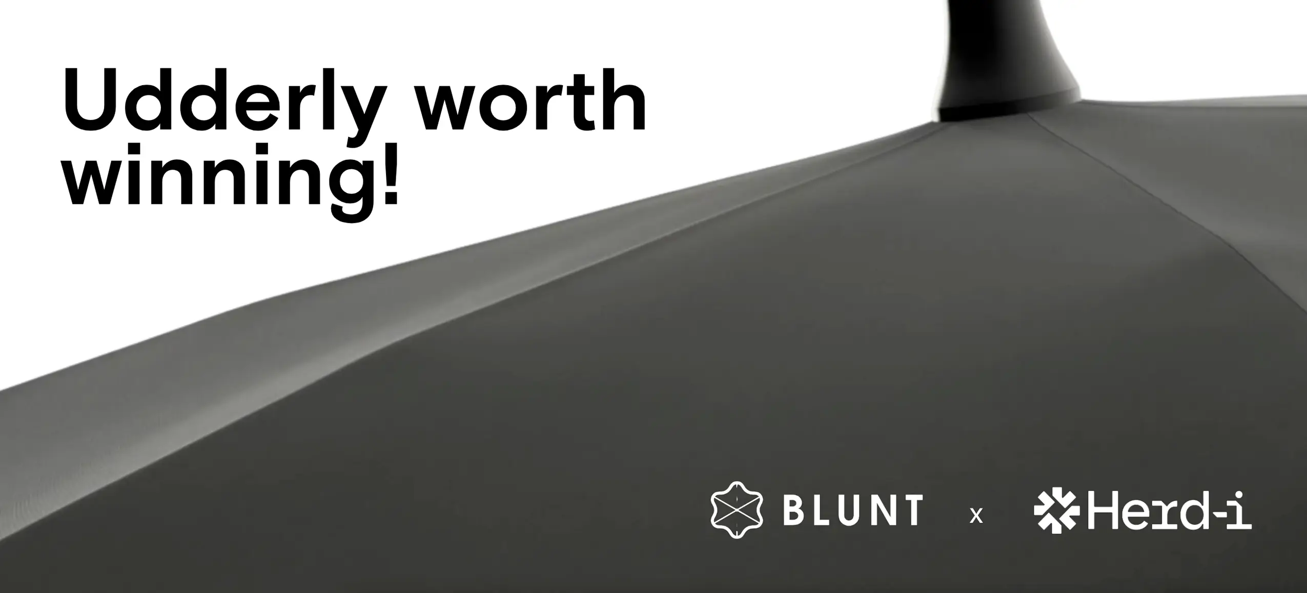 Dairy Women's Network - Blunt Umbrella Promotion