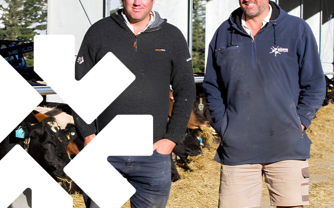 Farmer Feedback – “We’ve had good condition throughout the whole year. And we’ve had an increased mating rate of about 4%.”