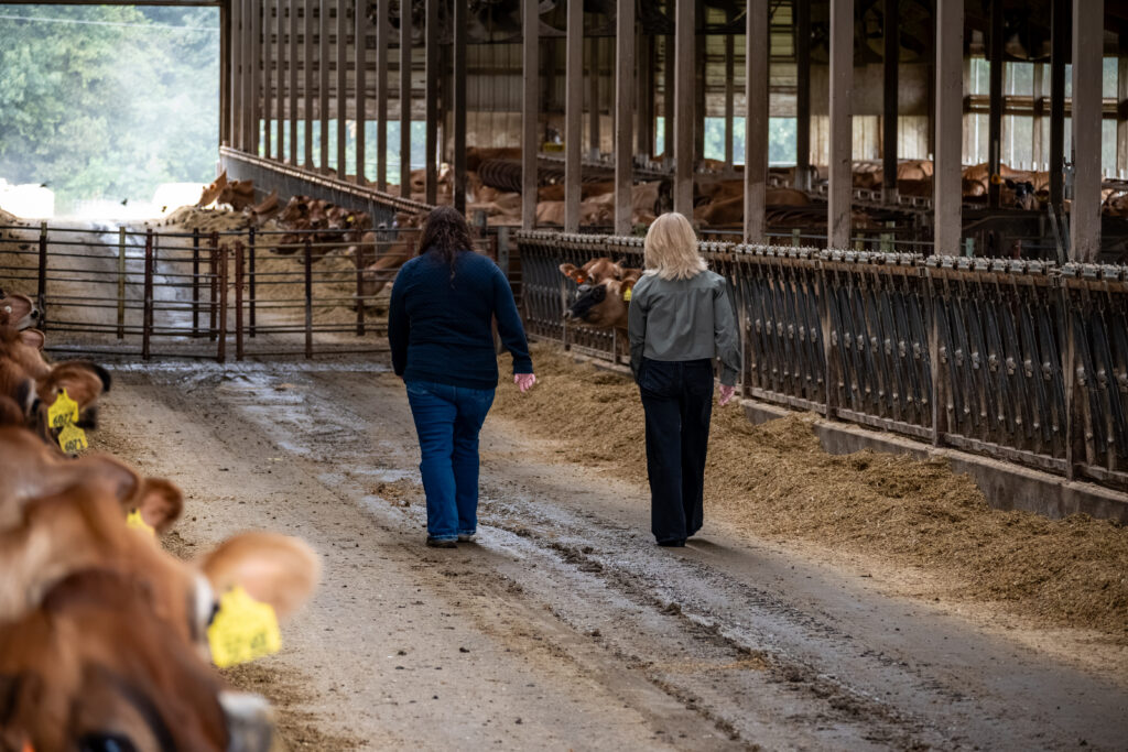 Herd-i Launches Dairy Cow Monitoring System in the U.S. for a Clearer View of Every Cow, Every Day